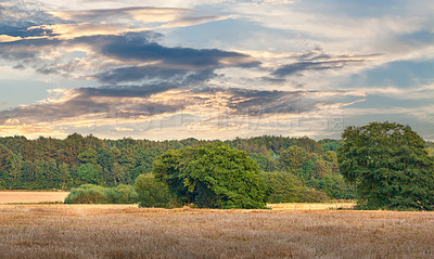 Buy stock photo A photo of farmland in autumn