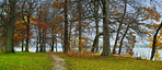 Countryside in autumn