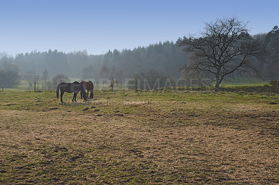 Buy stock photo A photo of farmland in autumn