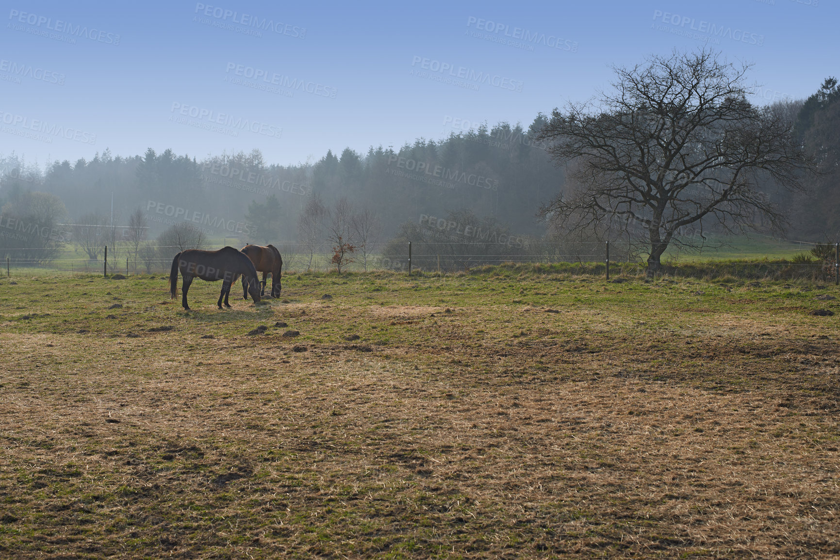 Buy stock photo A photo of farmland in autumn