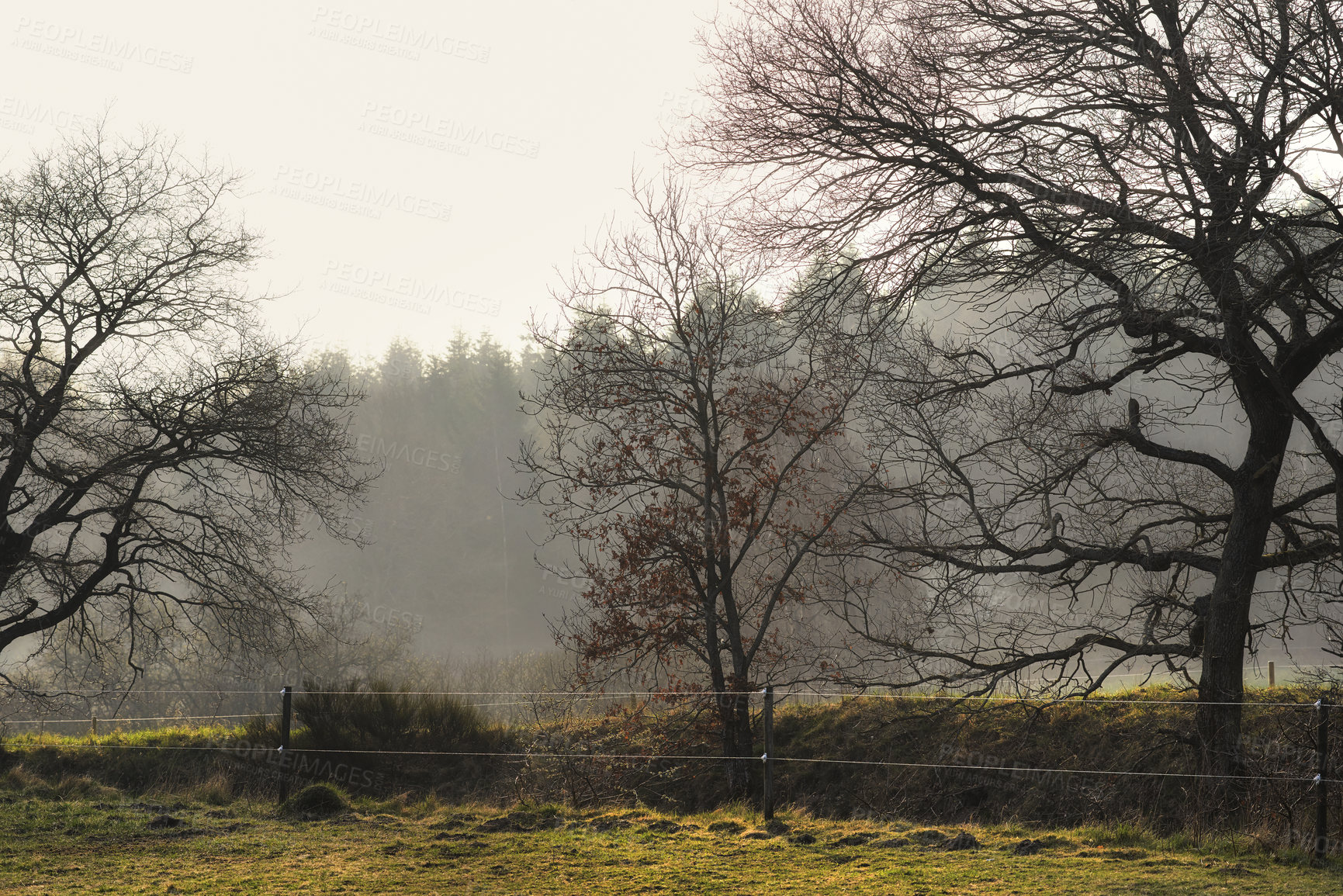 Buy stock photo A photo of farmland in autumn