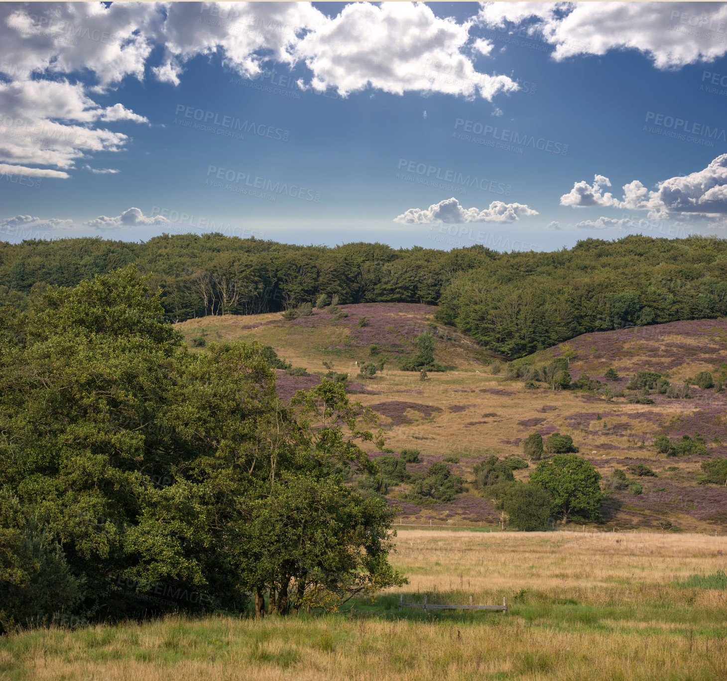 Buy stock photo A photo of farmland in autumn