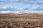 Countryside in autumn