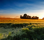 A photo of sunset in the countryside