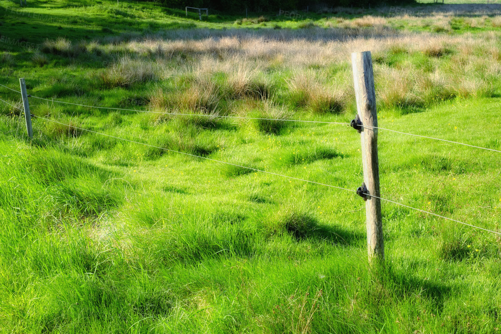 Buy stock photo Green fields and blue sky in spring and early summer