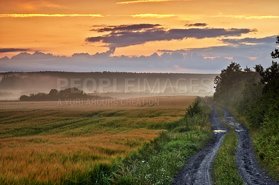 Buy stock photo Countryside dirt road leading to agriculture fields or farm pasture in a remote area during sunrise or sunset with fog or mist. Landscape view of quiet scenery and mystical farming meadows in Germany