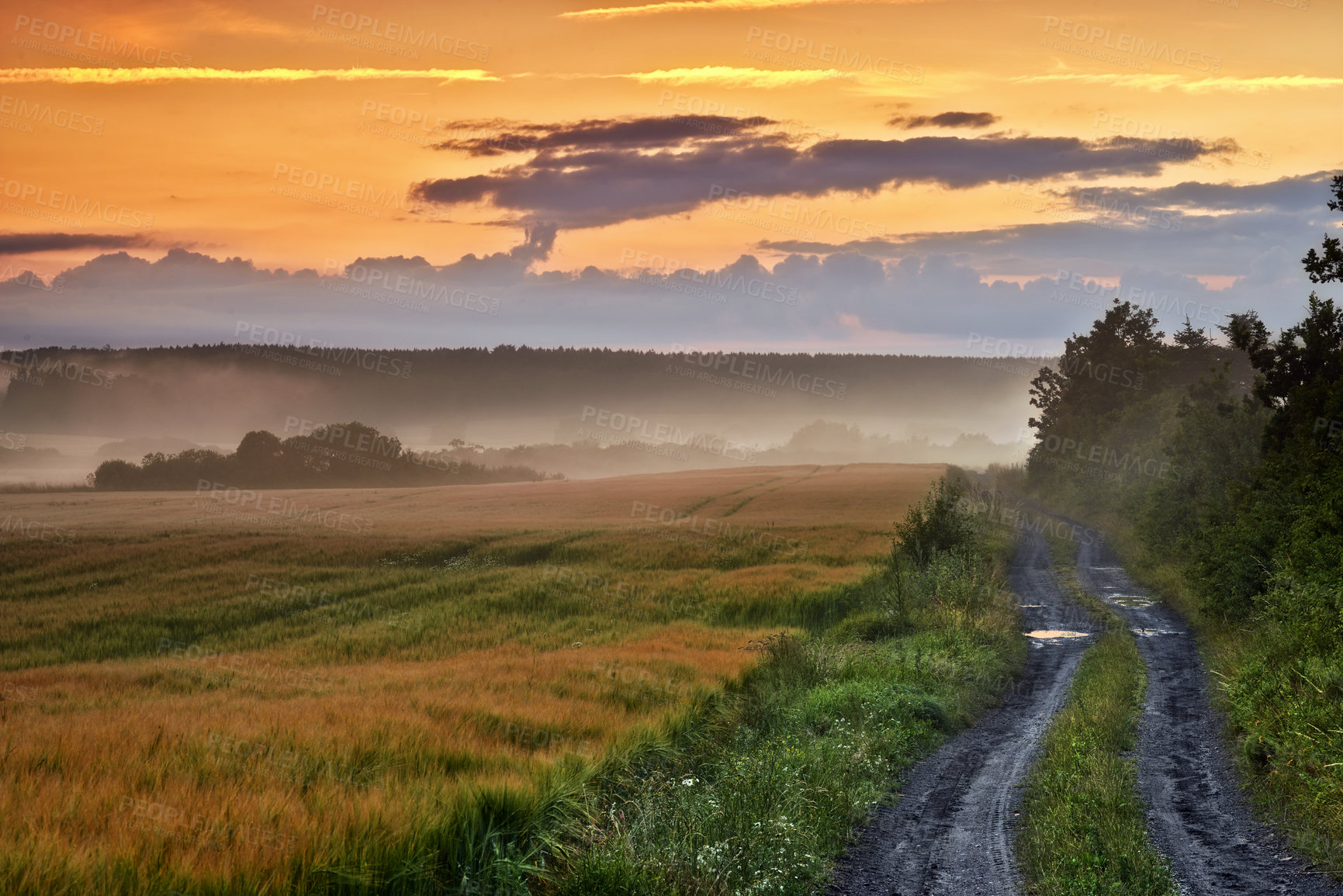 Buy stock photo Countryside dirt road leading to agriculture fields or farm pasture in a remote area during sunrise or sunset with fog or mist. Landscape view of quiet scenery and mystical farming meadows in Germany