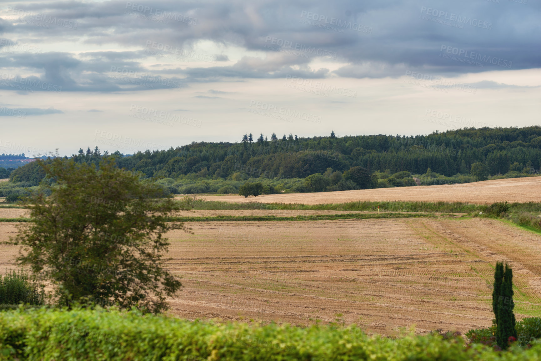 Buy stock photo Farmland ready for harvesting