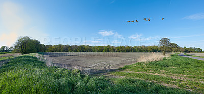 Buy stock photo Green fields and blue sky in spring and early summer