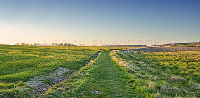 Buy stock photo Green fields and blue sky in spring and early summer