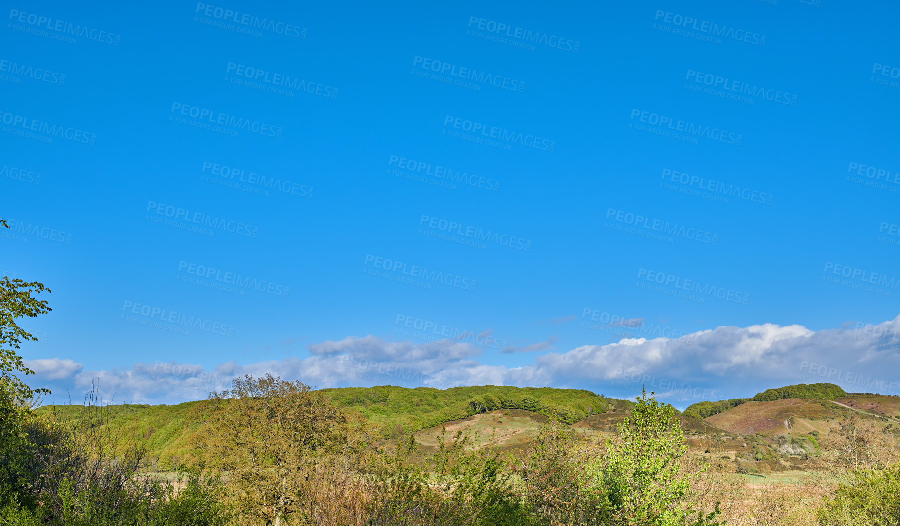 Buy stock photo Scenic landscape of a peaceful meadow with dark clouds in a blue sky background and copy space. Calm and tranquil view of blooming lush plants on a hill in the countryside or wilderness in nature