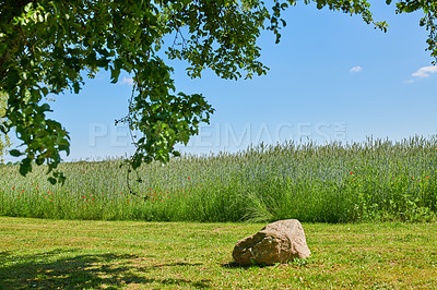 Buy stock photo Farmland in springtime - lots of copy space