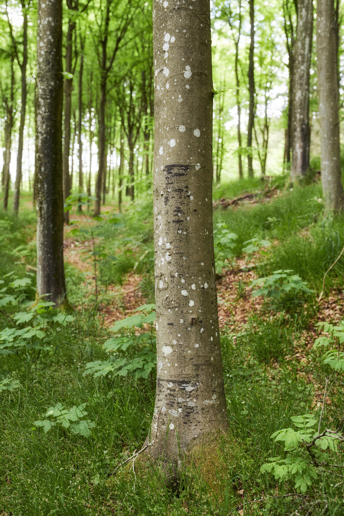 Buy stock photo Cropped shot of an outdoor scene