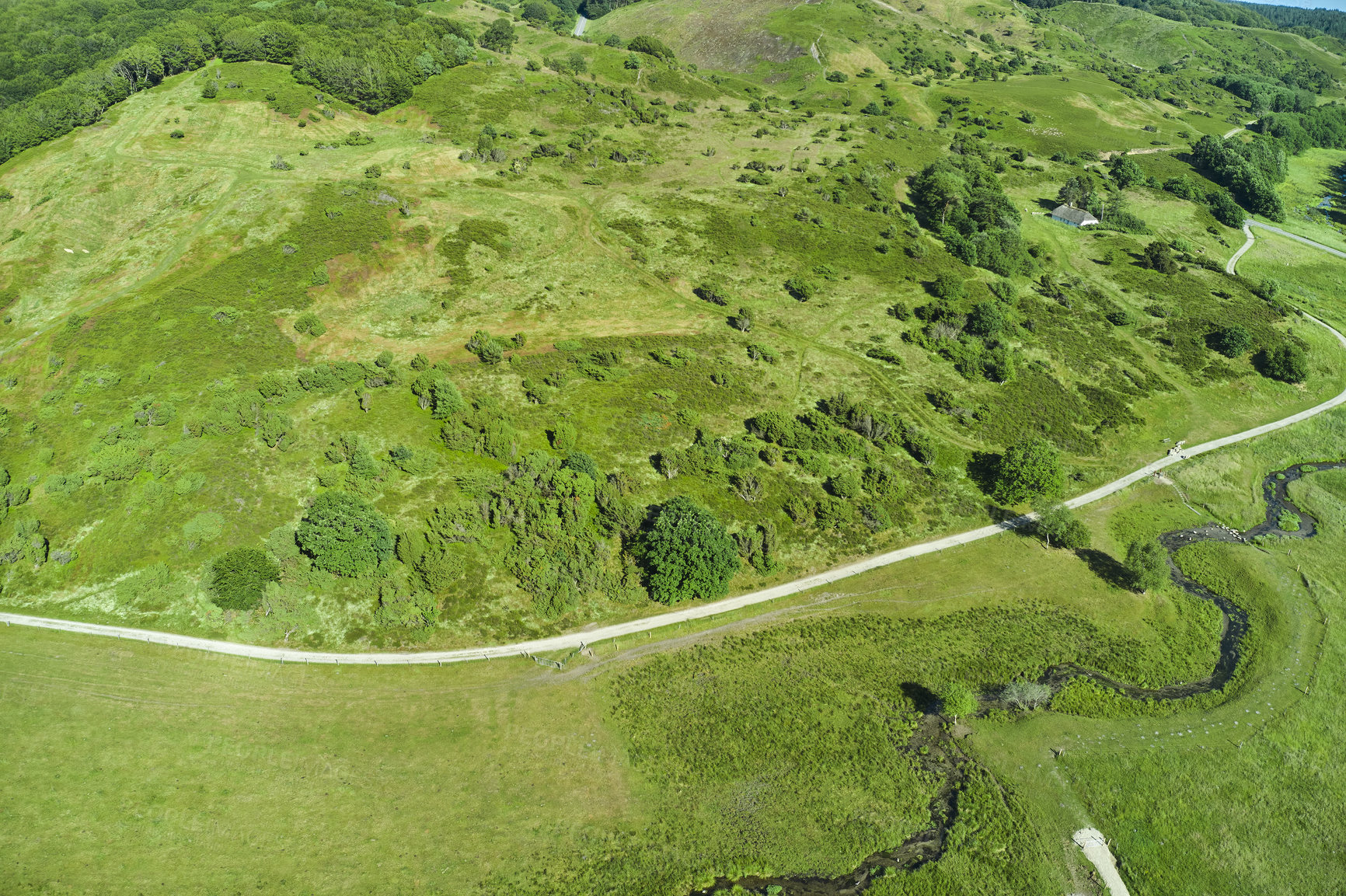 Buy stock photo Aerial view of green countryside road on a sunny day. Breathtaking nature landscape of an empty roadway winding through forest trees, bushes and lush vegetation. Sustainable eco friendly grass land