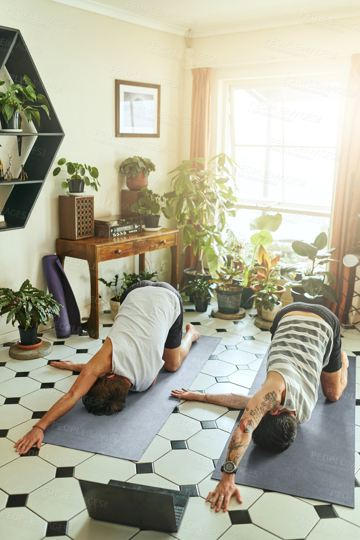 Buy stock photo Shot of two men using a laptop while going through a yoga routine at home