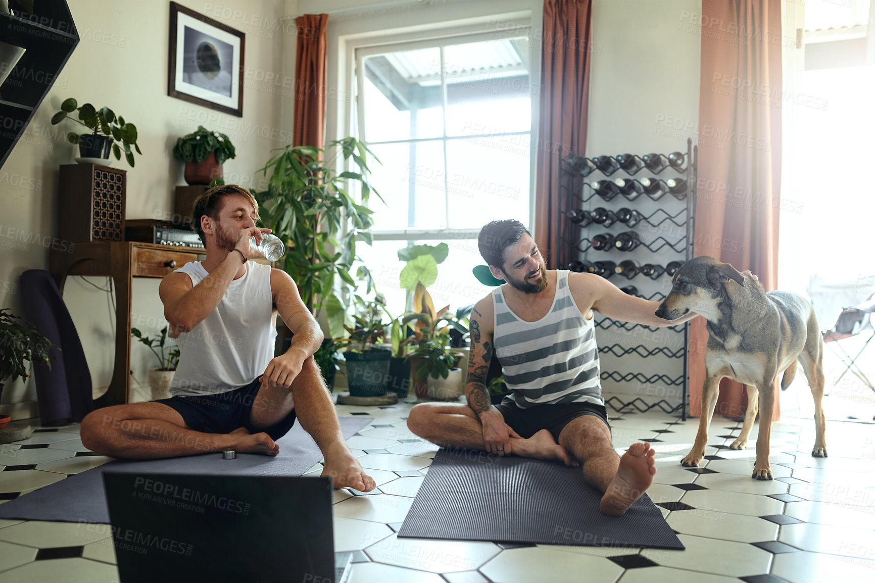 Buy stock photo Shot of two men playing with their dog after doing a yoga workout at home