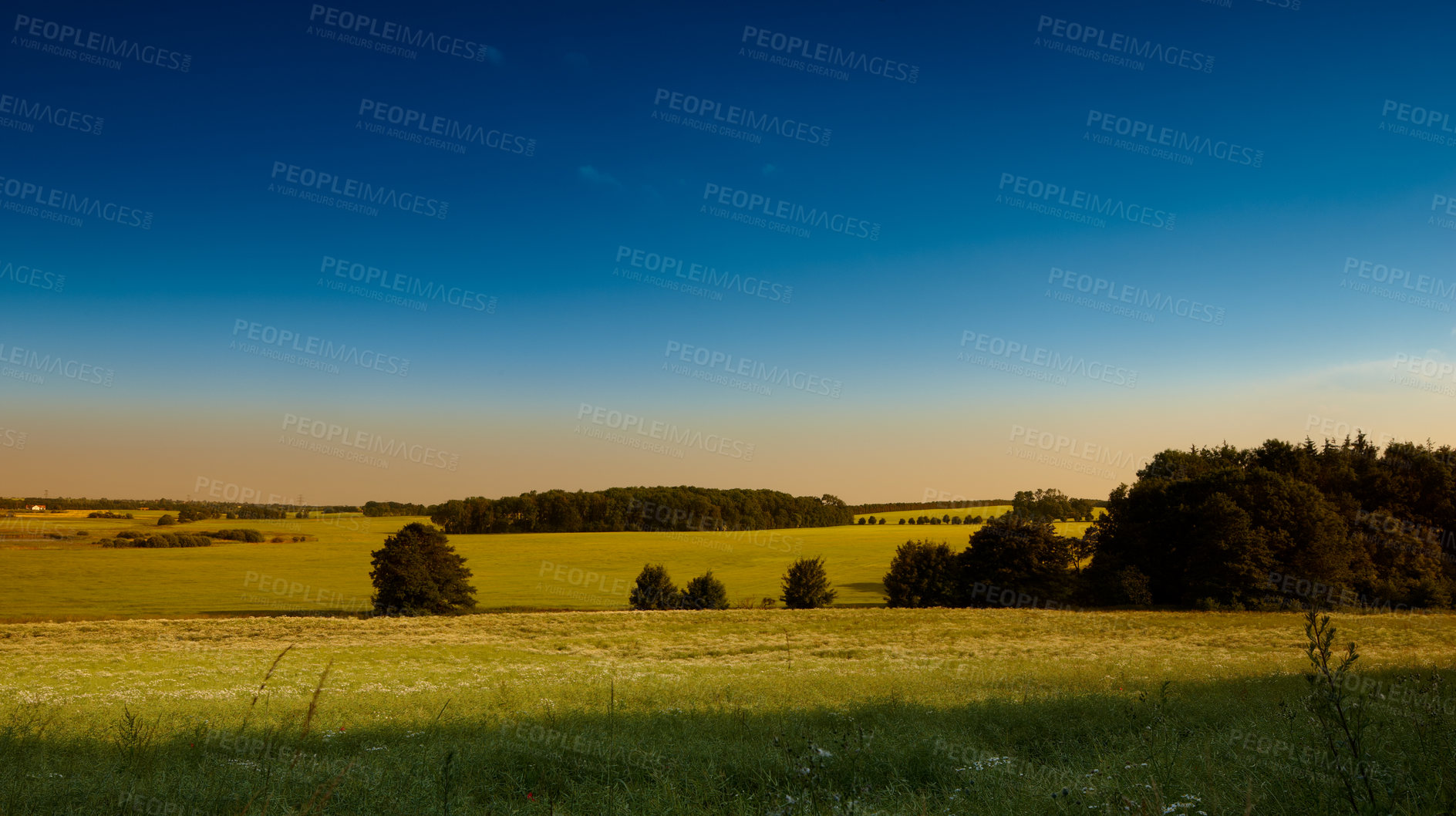 Buy stock photo Farmland ready for harvesting