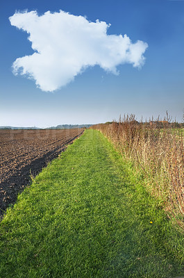 Buy stock photo A photo of green field in the countryside 