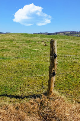 Buy stock photo Photo of he meadow - Denmark