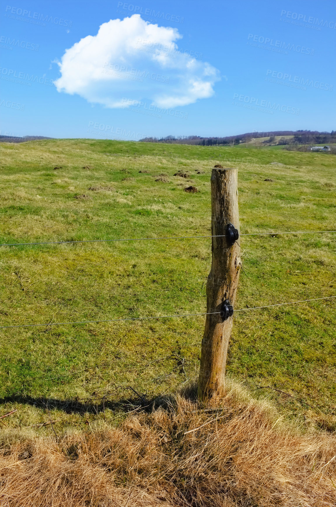 Buy stock photo Photo of he meadow - Denmark