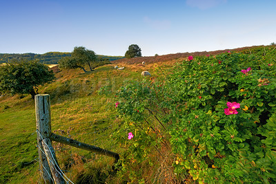 Buy stock photo A photo of a natural park