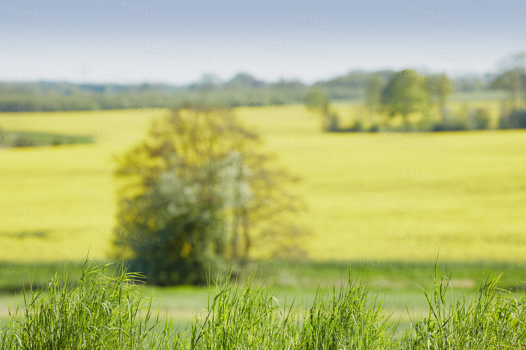 Buy stock photo Green fields and blue sky in spring and early summer