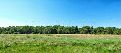 Buy stock photo Green fields and blue sky in spring and early summer