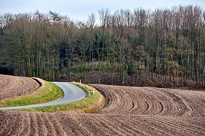 Buy stock photo The landscape of farm land and tall green trees near a curvy road with a blue sky. Beautiful view of plowed ground near a forest and roadway on a winter day. Tidy and well maintained field outdoors