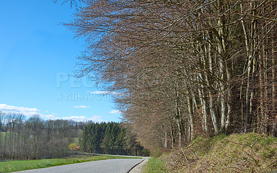 Buy stock photo A countryside road in spring with blue sky background and copy space. A nature landscape of an empty roadway winding through forest trees with regrowth in a sustainable eco environment on a sunny day