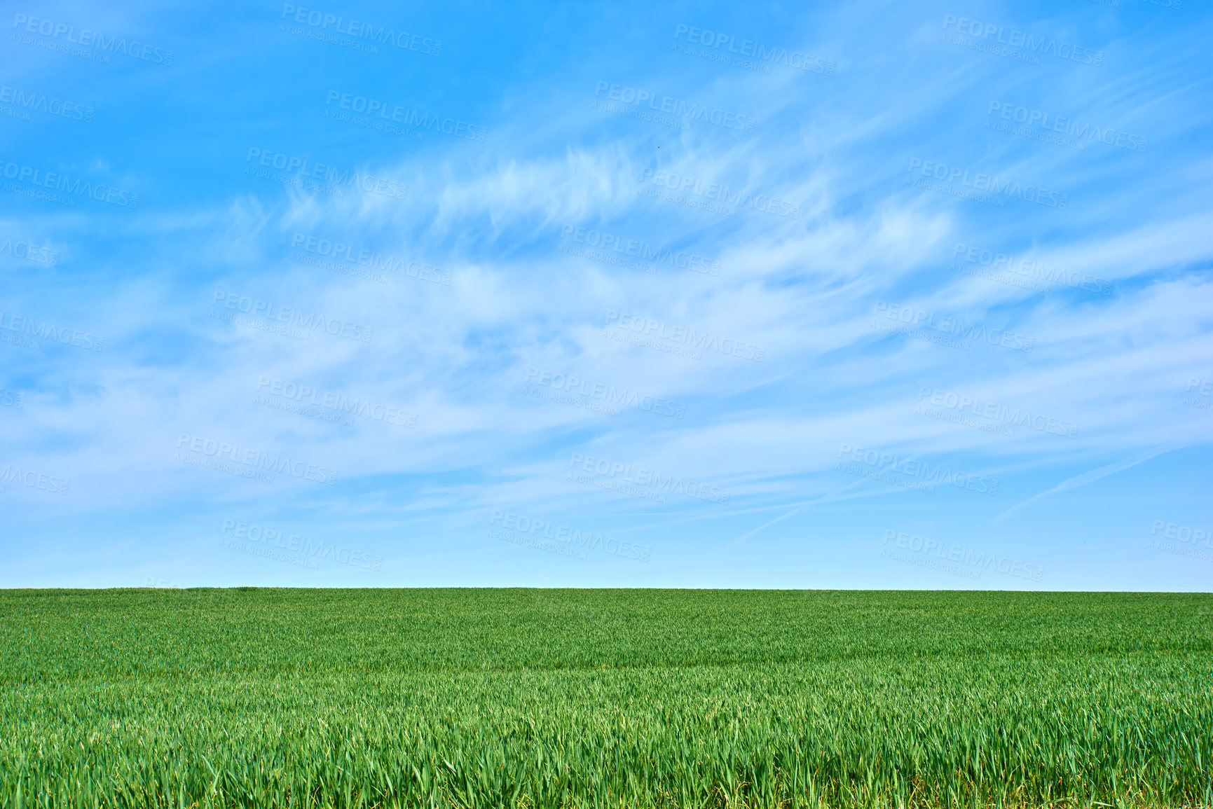 Buy stock photo Green fields and blue sky in spring and early summer