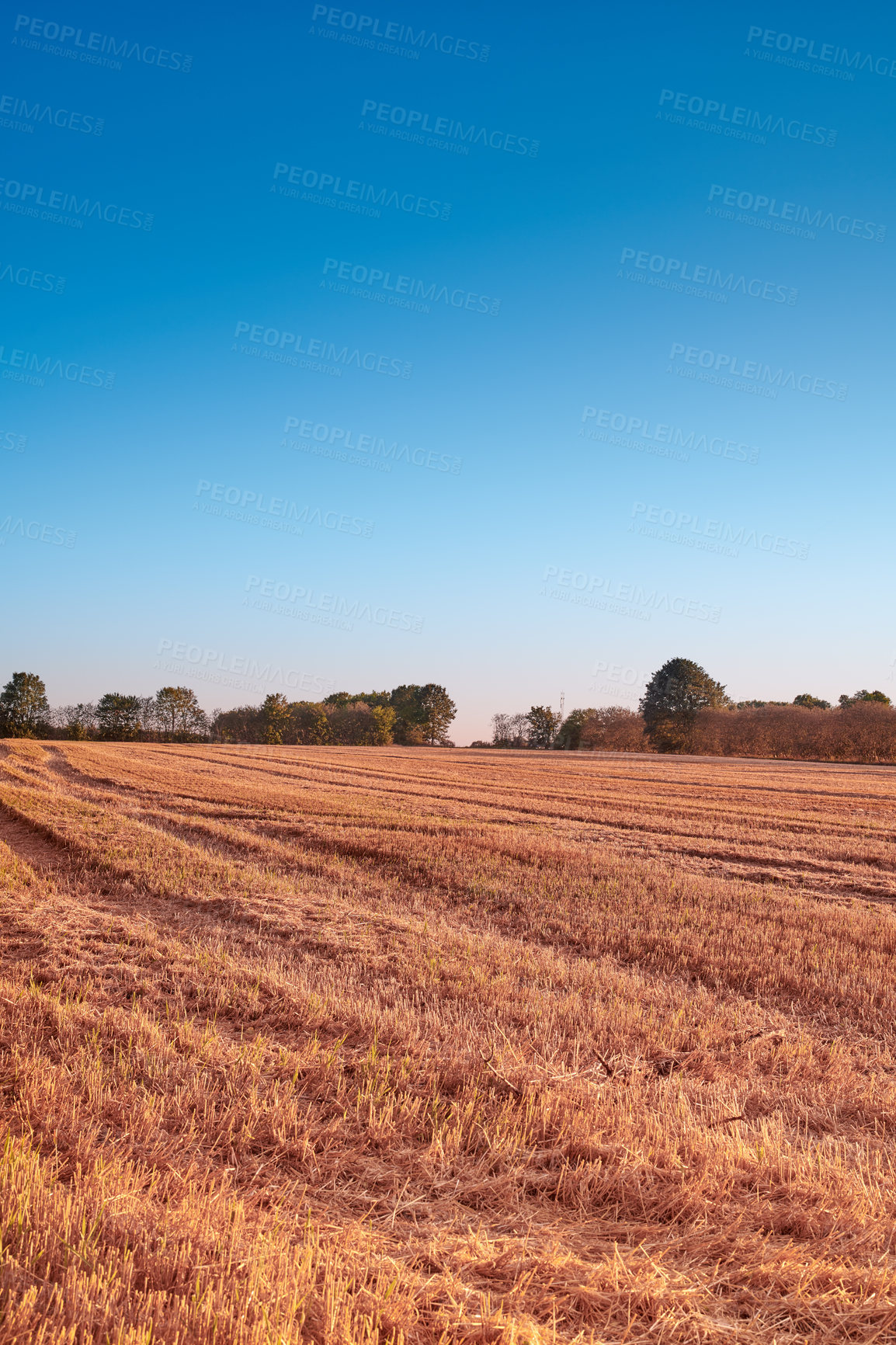 Buy stock photo Farmland ready for harvesting