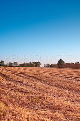 Buy stock photo Farmland ready for harvesting