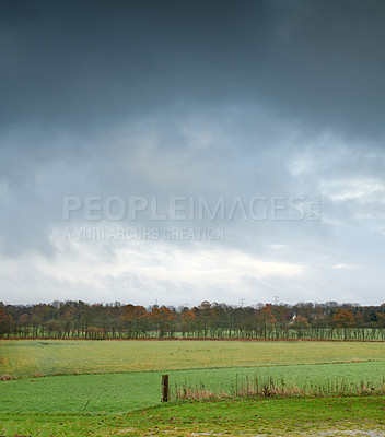 Buy stock photo Green fields and blue sky in spring and early summer