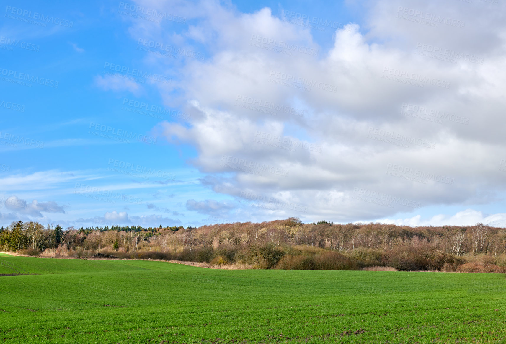 Buy stock photo A  photo of the Danish countryside at summertime