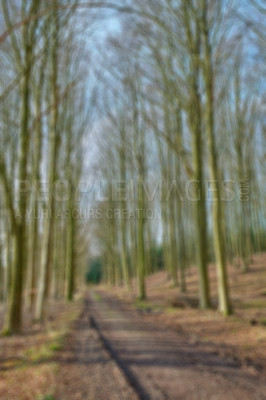 Buy stock photo Blurred view of a secret and mysterious dirt road in a countryside leading to a magical forest where adventure awaits. Quiet scenery with hidden path surrounded by tall trees and grass