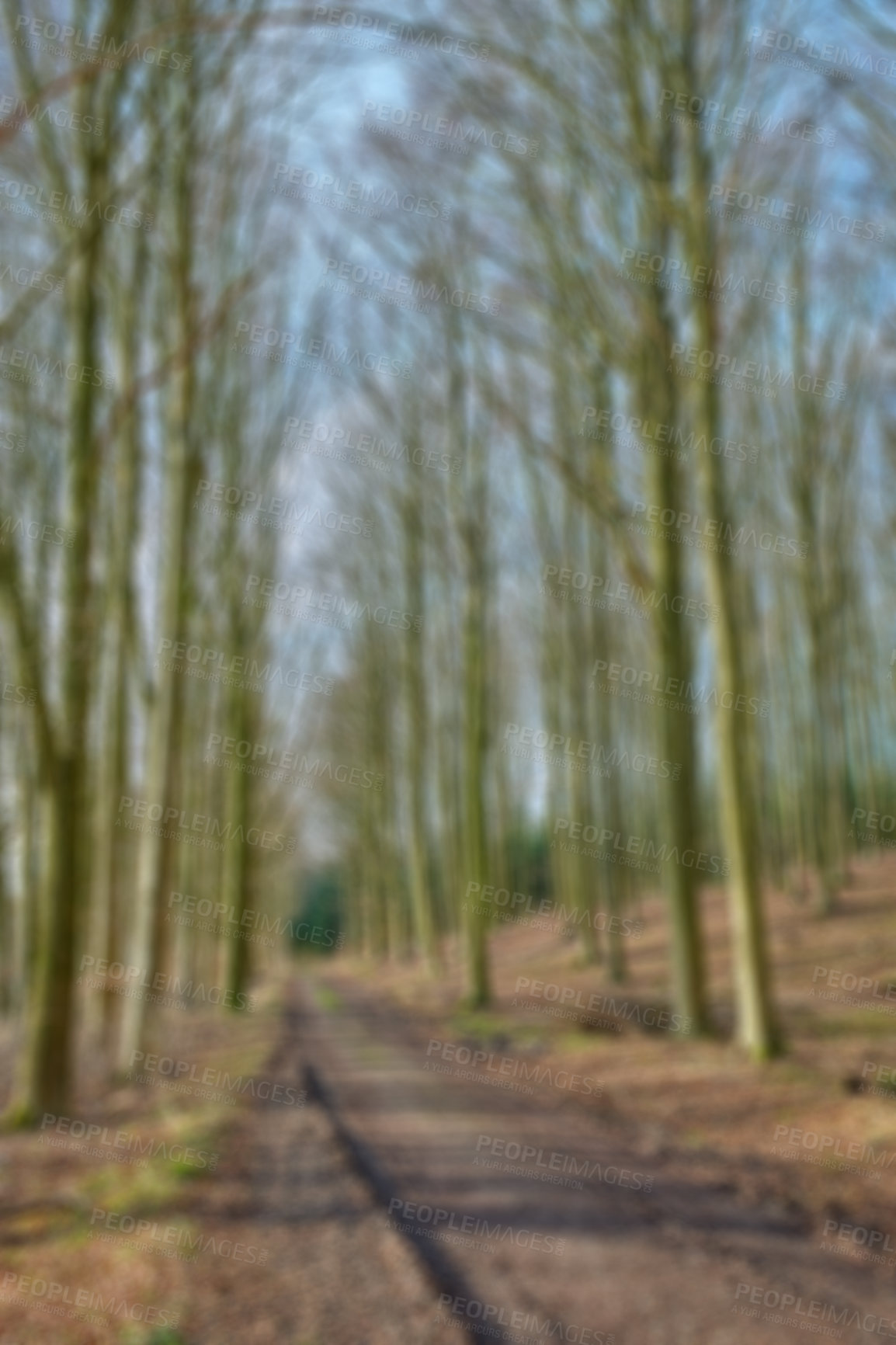 Buy stock photo Blurred view of a secret and mysterious dirt road in a countryside leading to a magical forest where adventure awaits. Quiet scenery with hidden path surrounded by tall trees and grass