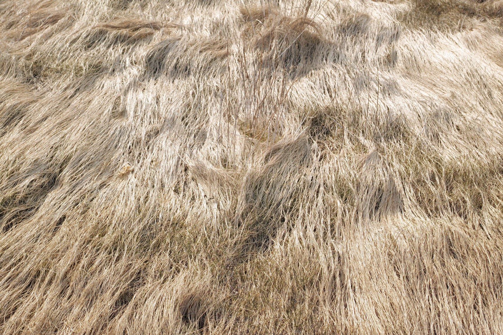 Buy stock photo The east coast of Jutland facing Kattegat