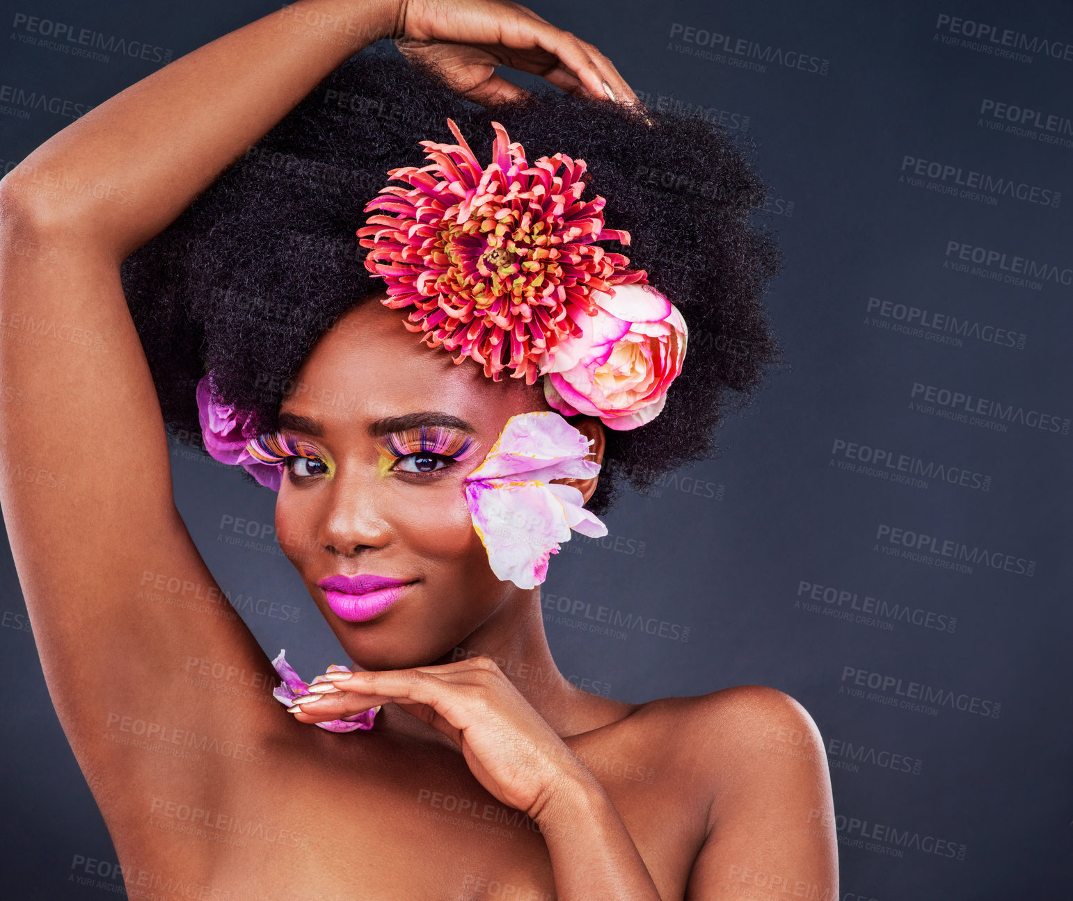 Buy stock photo Flowers, frame and portrait of afro black woman in studio on dark background for natural cosmetics. Beauty, face and makeup and happy young model with protea in hair for aesthetic wellness at spa