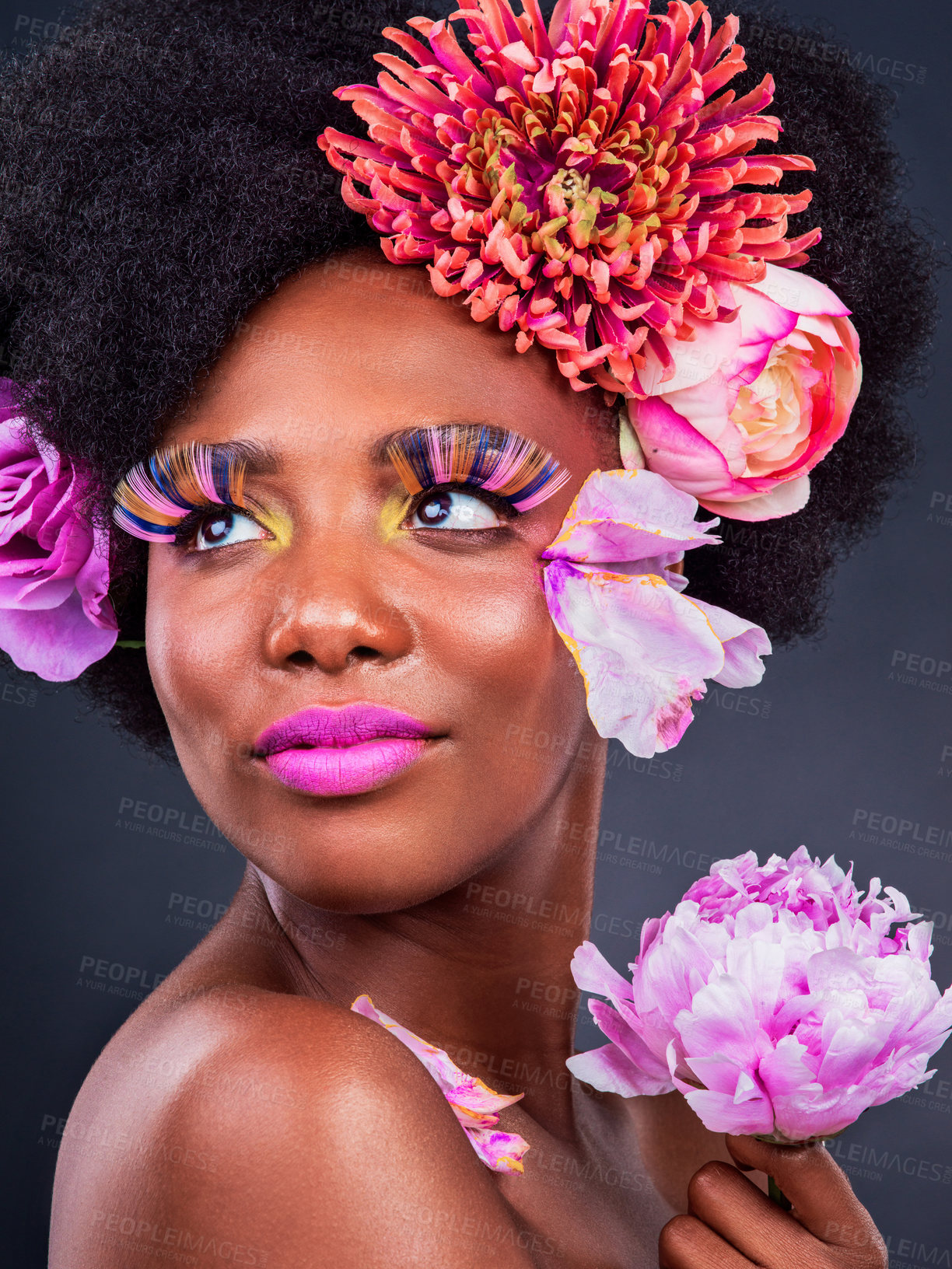 Buy stock photo Studio shot of a beautiful young woman posing with flowers in her hair