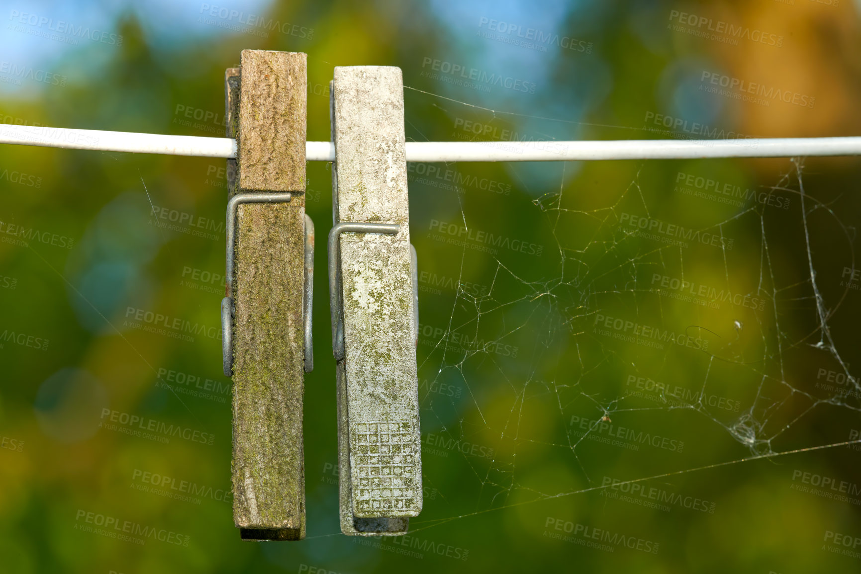 Buy stock photo Wooden pegs with spider webs on a washing line against a blurred background. Closeup of a cobweb strung alongside two weathered old clothespins. Ecosystem and biodiversity of nature in a modern world