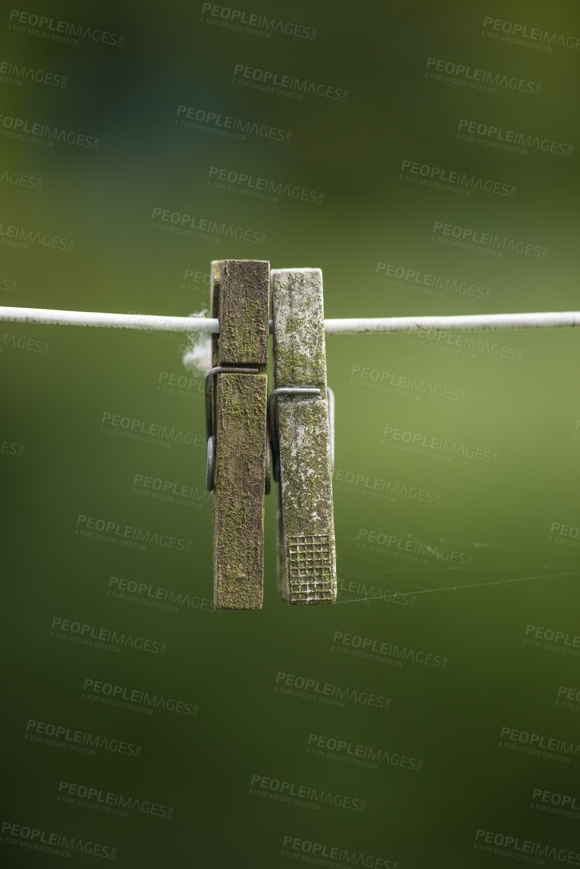 Buy stock photo Copy space of old clothespins hanging on abandoned washing or laundry line with bokeh outside. Closeup of spiderwebs, moss or algae from wet climate neglect covering clothes pegs for housework chores