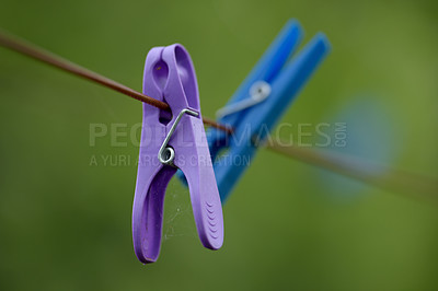 Buy stock photo Copy space of plastic clothespins hanging on washing cable or laundry line with bokeh outside. Closeup of neglected spiderwebs covering purple or blue clothes pegs for housework chores with copyspace