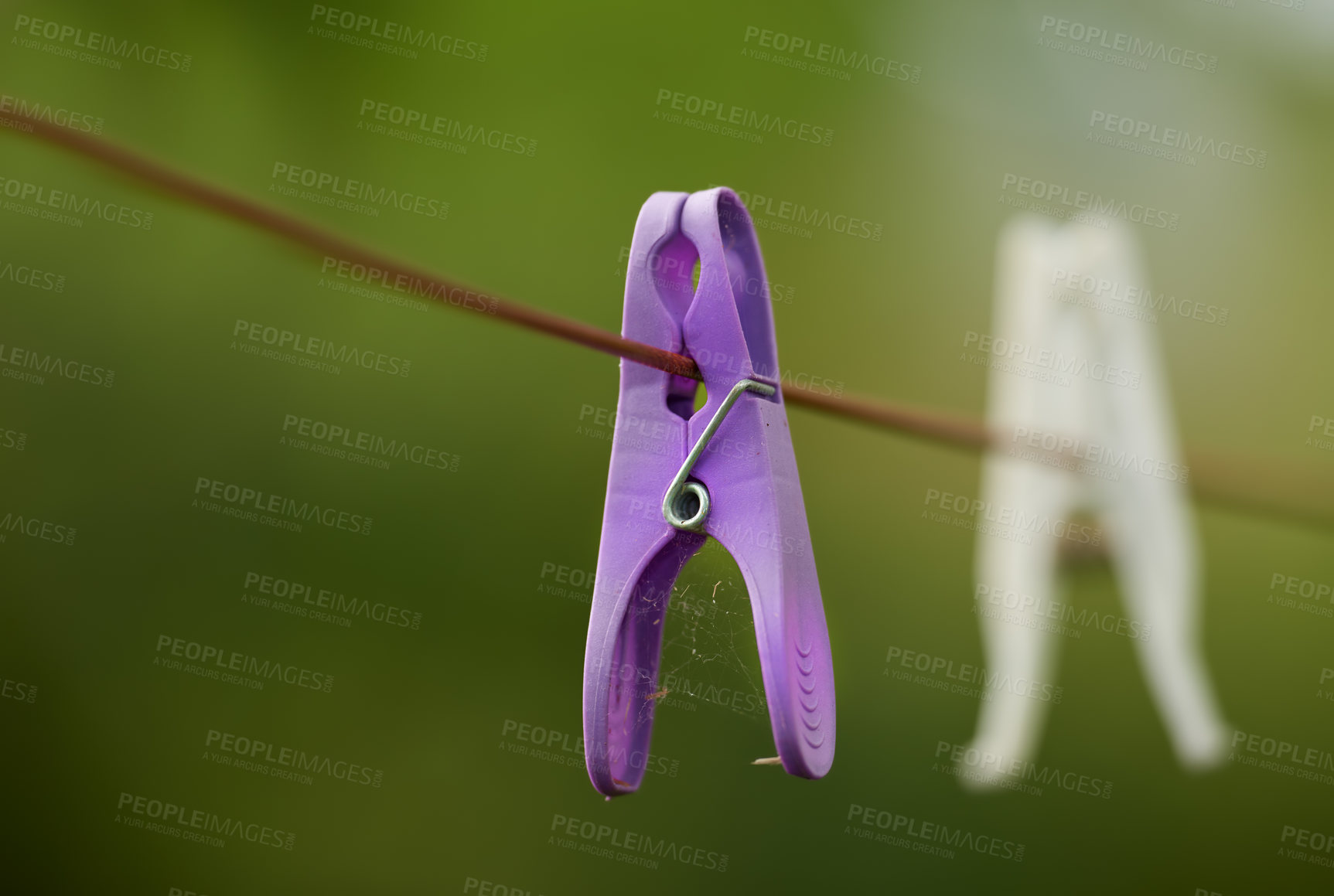 Buy stock photo Closeup of neglected clothes pegs and housework, chores. Plastic clothespins hanging on washing cable or laundry line with bokeh and copy space outside. An abandoned hygiene routine