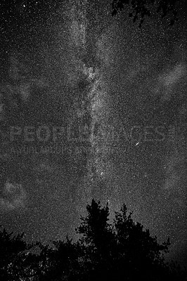 Buy stock photo Night sky with plenty of sparkling stars illuminated in the galaxy. Starry constellation and universe in pitch black dark sky with silhouette shadow of trees. Background, screensaver or wallpaper