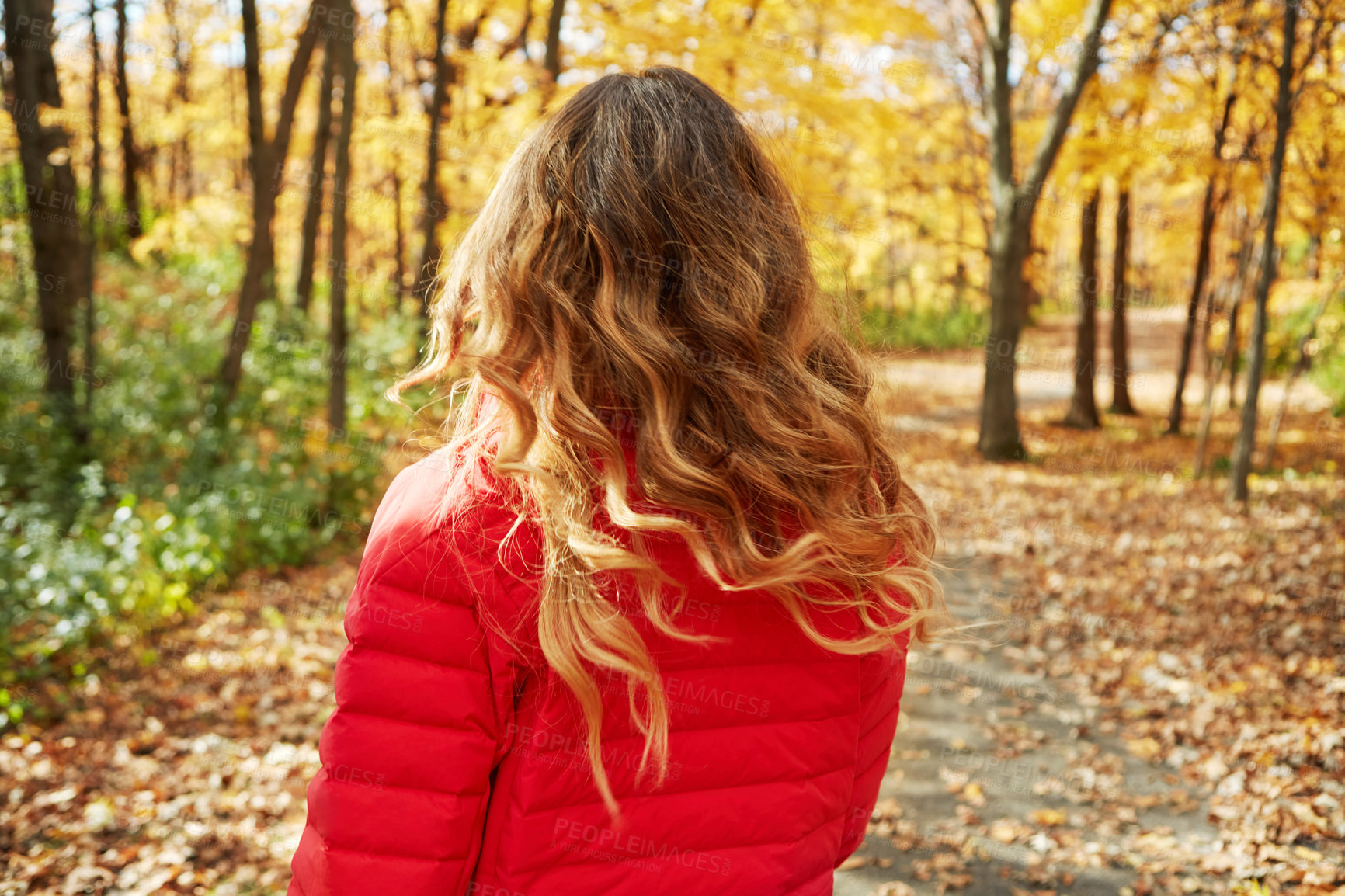 Buy stock photo Rearview shot of an unrecognizable young woman in the forest during autumn