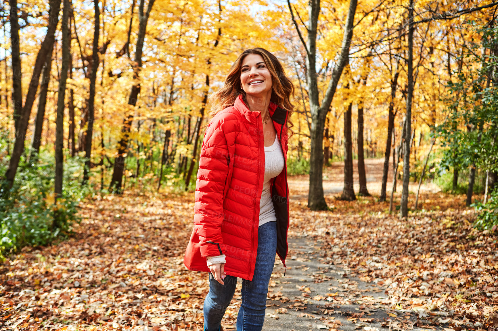 Buy stock photo Cropped shot of an attractive young woman in the forest during autumn