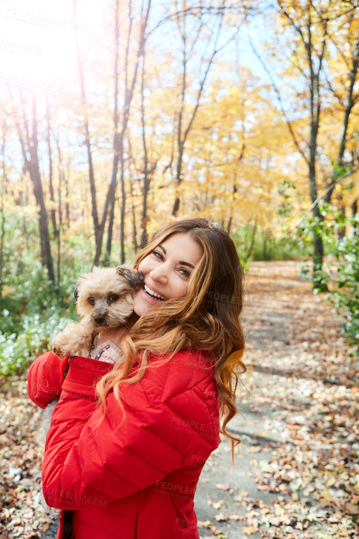 Buy stock photo Cropped portrait of an attractive young woman and her adorable little puppy in the forest during autumn
