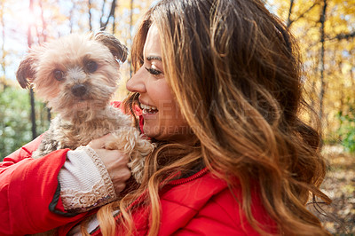 Buy stock photo Cropped shot of an attractive young woman and her adorable little puppy in the forest during autumn