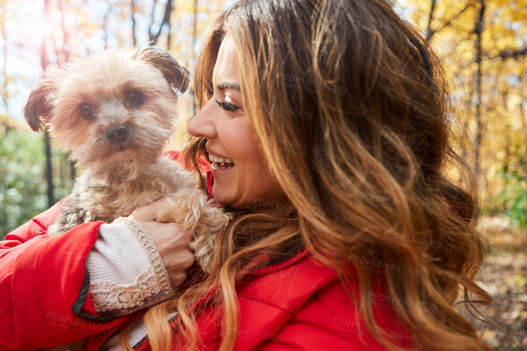 Buy stock photo Cropped shot of an attractive young woman and her adorable little puppy in the forest during autumn
