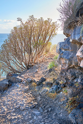 Buy stock photo Mountain trails on La Palma, the west coast, Canary Island, Spain, Aerial view